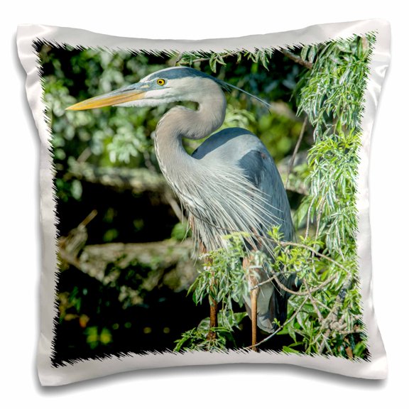 3drose, Usa, Florida, Orlando. Great Blue Heron at Gatorland., 16x16 inch Pillow Case