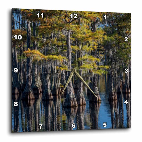 3drose, Usa, Georgia, George L. Smith State Park, Pond Cypress., 15x15 Wall Clock