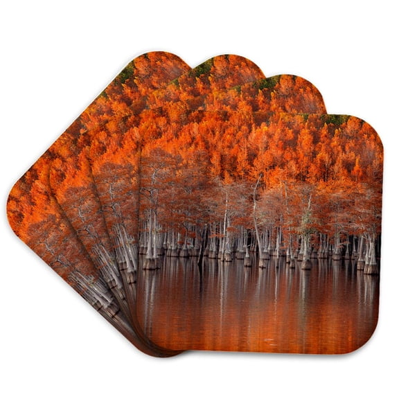 3drose, Usa, Georgia, Twin City, Cypress Trees in the Fall at Sunset., Set of 4 Coasters - Soft