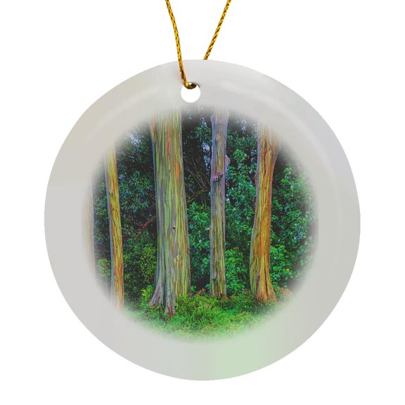 3drose, Usa, Hawaii, Maui, Rainbow Eucalyptus Trees, Eucalyptus Deglupta, Circle Porcelain Ornament