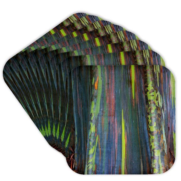 3drose, Usa, Hawaii, Oahu, Rainbow Eucalyptus Tree Growing in Forest, Set of 8 Coasters - Soft