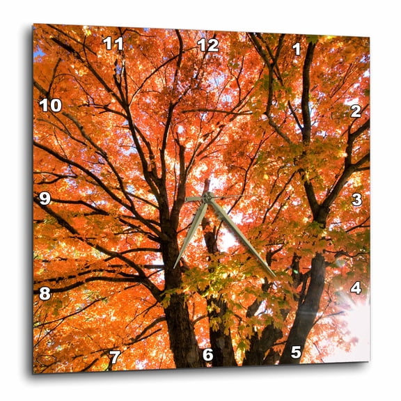 3drose, Usa, Kansas, Johnson County, Shawnee Mission Park, Maple, 10x10 Wall Clock