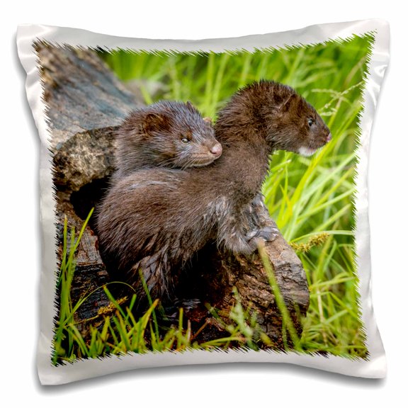 3drose, Usa, Minnesota. Mink Kits in Log Watching for Mother., 16x16 inch Pillow Case
