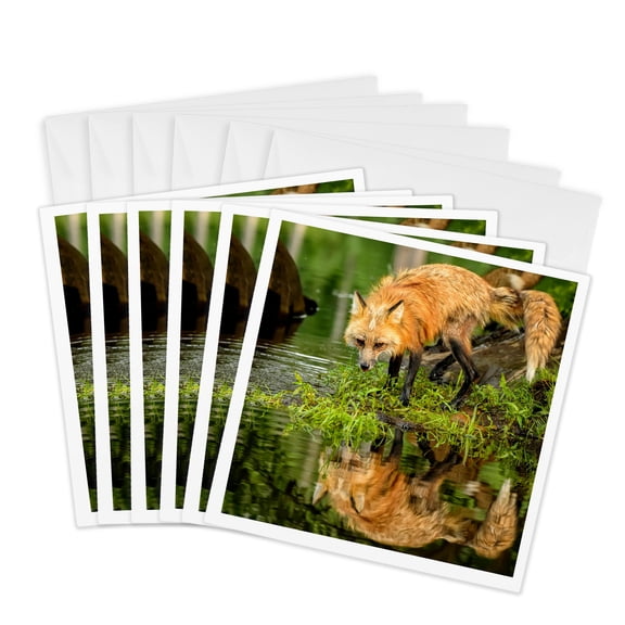 3drose, Usa, Minnesota. Red Fox, 6 Greeting Cards with Envelopes