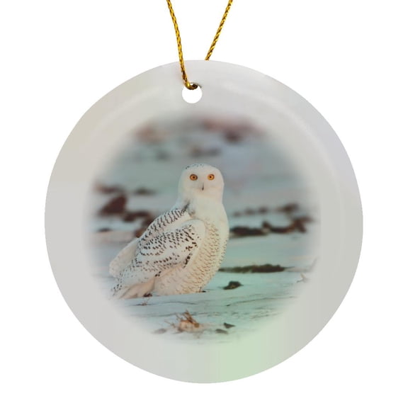 3drose, Usa, Minnesota, Vermillion. Snowy Owl Perched on Snow., Circle Porcelain Ornament
