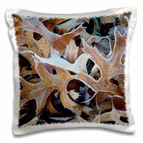 3drose, Usa, Missouri, Burr Oak Leaves, Frost, 16x16 inch Pillow Case