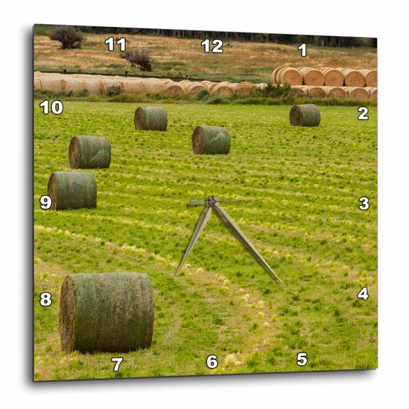 3drose, Usa, Montana. Bales, or Rounds, of Hay in a Field., 10x10 Wall Clock