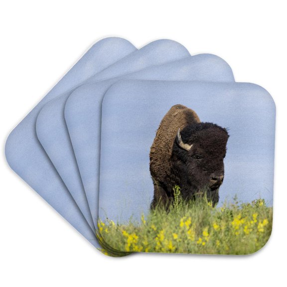3drose, Usa, Montana, Dixon. National Bison Range, Bison Springtime, Set of 4 Coasters - Soft