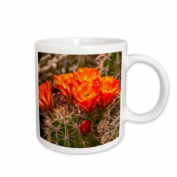 3drose, Usa, New Mexico, Bosque Del Apache Wildlife Refuge. Cactus Blossoms., 11oz Mug