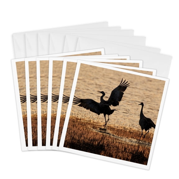 3drose, Usa, New Mexico. Wildlife Refuge. Sandhill Cranes in Pond at Sunset., 6 Greeting Cards with Envelopes