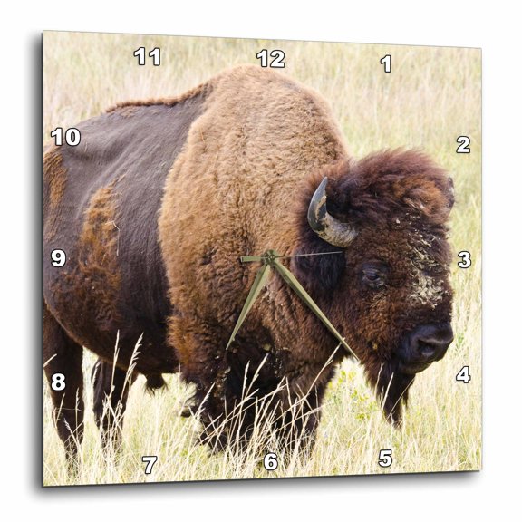 3drose, Usa, North Dakota, Medora. Theodore Roosevelt Np, American Bison, 10x10 Wall Clock