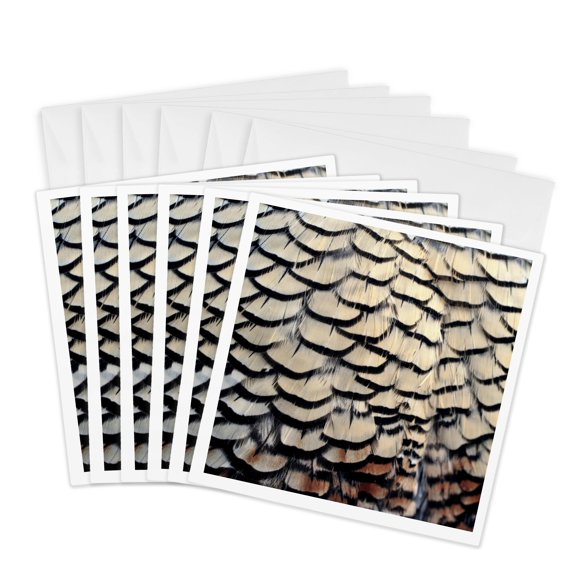 3drose, Usa, Oregon, Bend. California Quail Bird - Us38 Rer0409 - Ric Ergenbright, 6 Greeting Cards with Envelopes