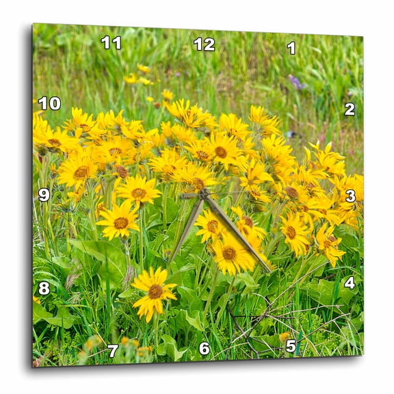 3drose, Usa, Oregon. Columbia George, Arrowleaf Balsamroot in Spring Bloom,, 15x15 Wall Clock