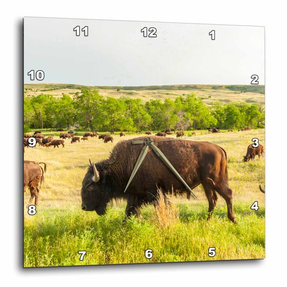 3drose, Usa, South Dakota, Custer State Park. Bison Herd Roaming., 15x15 Wall Clock