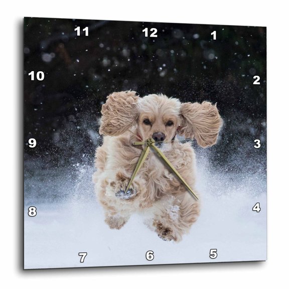 3drose, Usa, Tennessee. Cocker Spaniel Running in the Snow., 15x15 Wall Clock