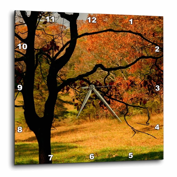 3drose, Usa, Tennessee. Silhouette of Barren Tree in a Colorful Fall Meadow., 10x10 Wall Clock