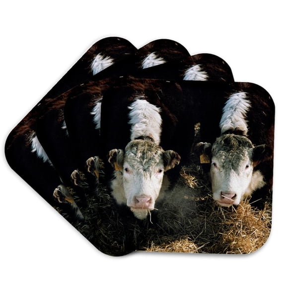 3drose, Usa, Utah, Cache Valley, Hereford Steers in Winter Feedlot., Set of 4 Coasters - Soft