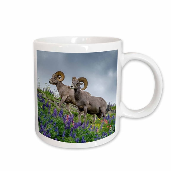 3drose, Usa, Utah. Two Bighorn Rams Grazing, Mount Timpanogos., 11oz Mug