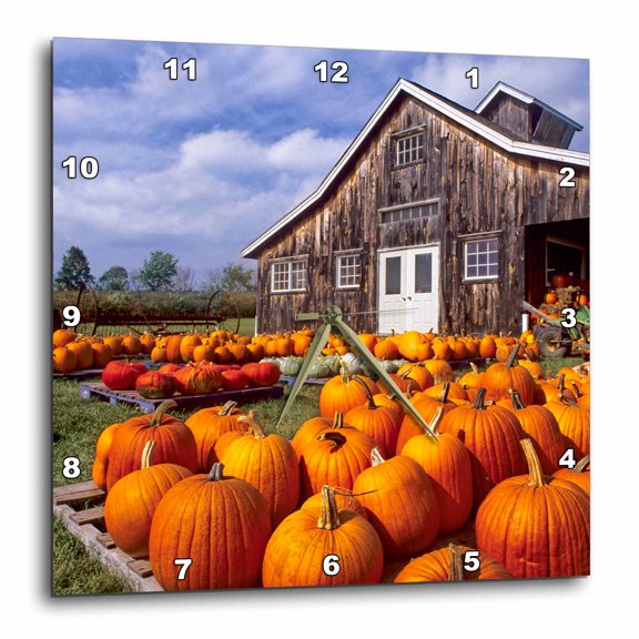 3drose, Usa, Vermont, Shelbourne, Pumpkins, Farm - Us46 Rdu0002 - Richard Duval, 15x15 Wall Clock