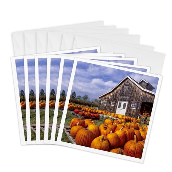 3drose, Usa, Vermont, Shelbourne, Pumpkins, Farm - Us46 Rdu0002 - Richard Duval, 6 Greeting Cards with Envelopes