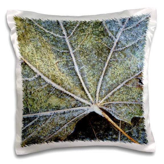 3drose, Usa, Washington, John a Finch Arboretum, Sycamore Leaves, 16x16 inch Pillow Case