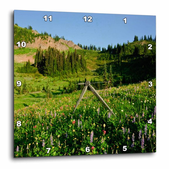 3drose, Usa, Washington, Mt. Rainier. Summer Wildflowers - Us48 Rdu0215 - Richard Duval, 10x10 Wall Clock