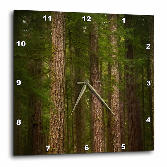 3drose, Usa, Washington, Olympic Np. Western Hemlock Trees in Rainforest., 15x15 Wall Clock