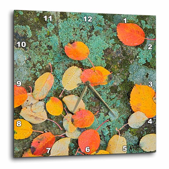 3drose, Usa, Washington, Riverside Sp, Western Serviceberry Leaves on Lichen, 15x15 Wall Clock