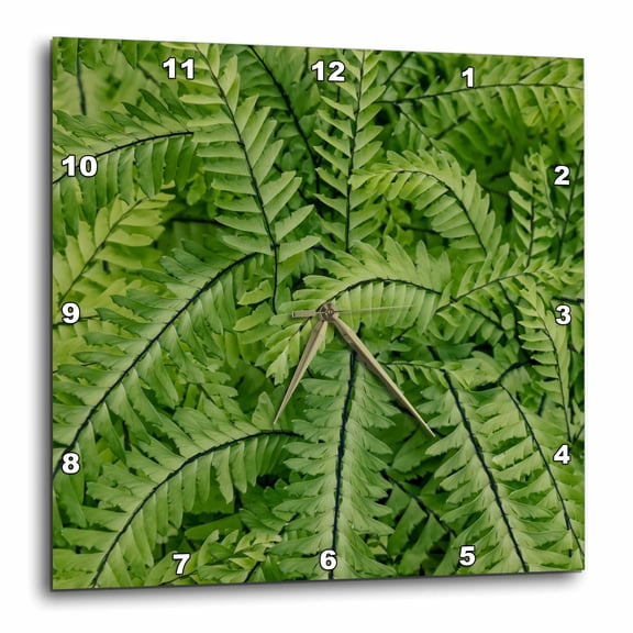 3drose, Usa, Washington State. Bellevue Botanical Garden, 15x15 Wall Clock