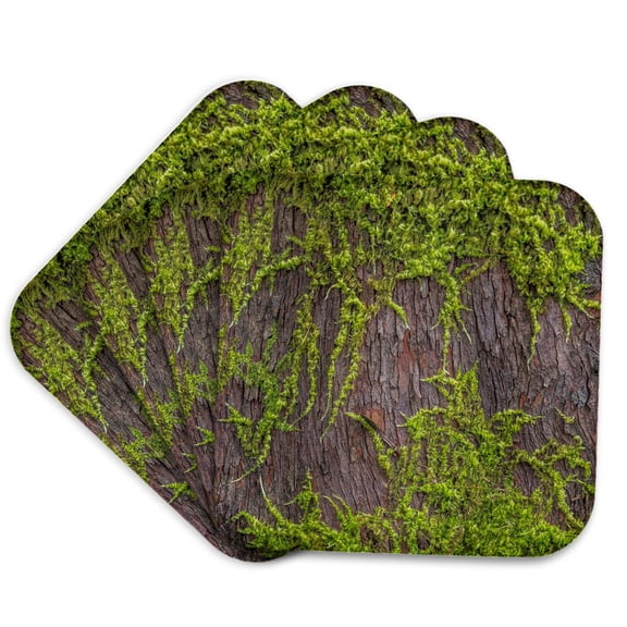 3drose, Usa, Washington State, Seabeck, Scenic Beach State Park. Moss Tree., Set of 4 Coasters - Soft