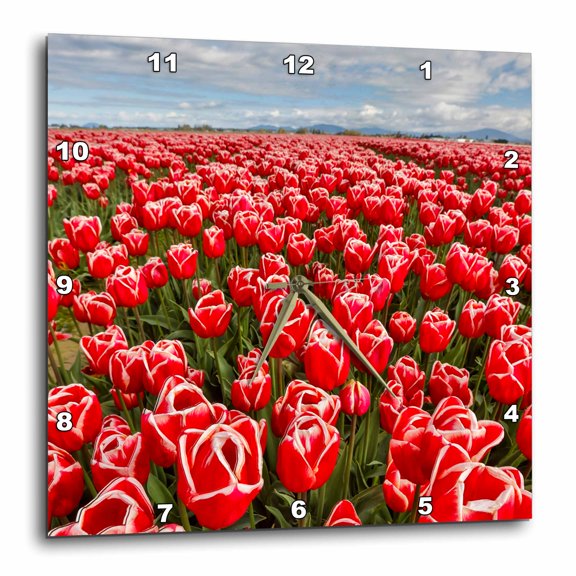 3drose, Usa, Washington State. Skagit Valley, Tulips Growing in Field, 13x13 Wall Clock