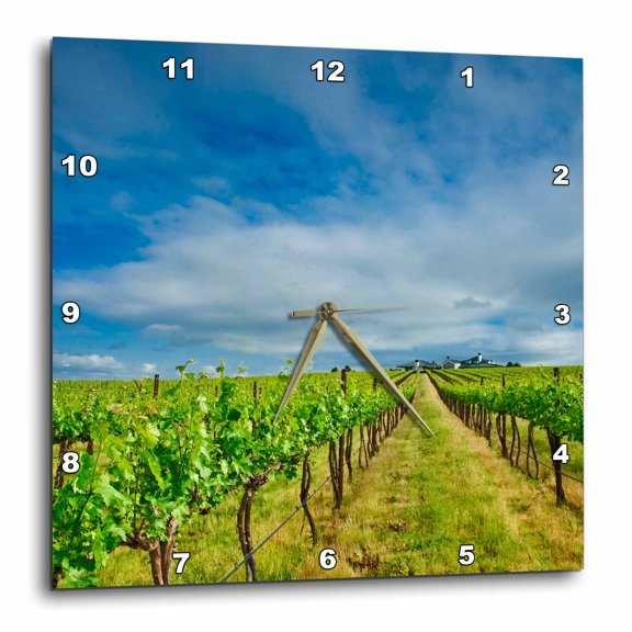 3drose, Usa, Washington, Walla Walla. Vineyard - Us48 Rdu0155 - Richard Duval, 10x10 Wall Clock