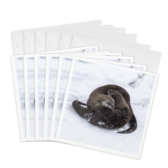 3drose, Usa, Wy, Yellowstone Np. Two Northern River Otters Curl up on the Ice, 6 Greeting Cards with Envelopes
