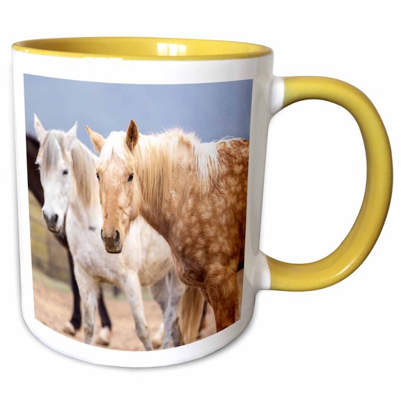 3drose, Vermillion Flycatcher in Mesquite Tree, Pima County, Arizona., 11oz Two-tone Yellow Mug