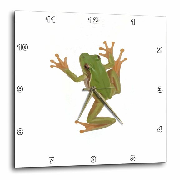 3drose, Vibrant Tree Frog Vector Design, 15x15 Wall Clock