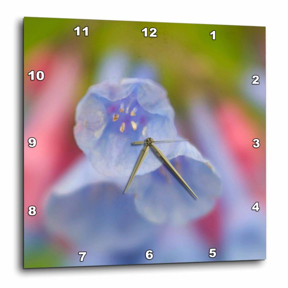 3drose, Virginia, Manassas National Battlefield Park, Flowers - Us47 Chi0059 - Corey Hilz, 15x15 Wall Clock
