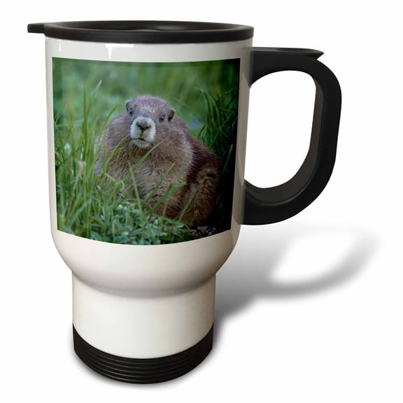 3drose, Wa. Olympic Marmot, Juvenile Near Hurricane Ridge, Olympic Np., 14oz Stainless Steel Travel Mug