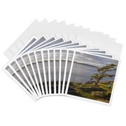 3drose, Washington, Runner in Shark Reef Park, Lopez Island - Us48 Dsv0265 - David Svilar, 12 Greeting Cards with Envelopes