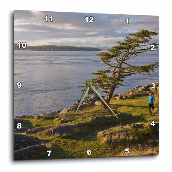 3drose, Washington, Runner in Shark Reef Park, Lopez Island - Us48 Dsv0265 - David Svilar, 15x15 Wall Clock