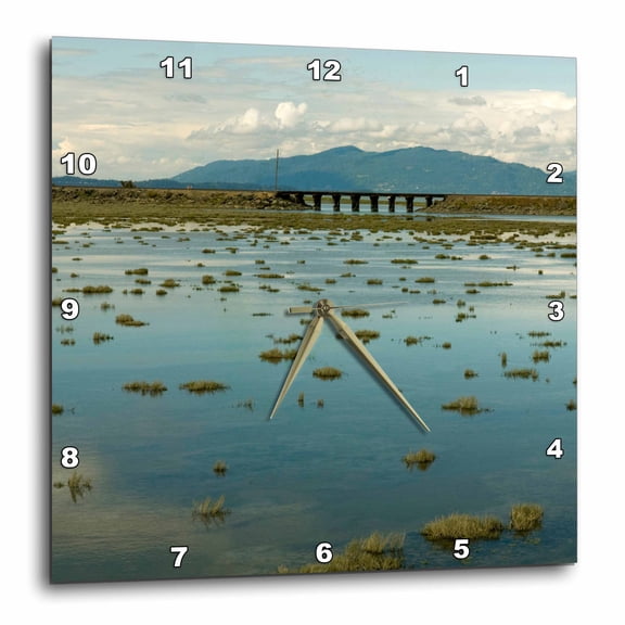 3drose, Washington, Skagit County, Anacortes, Tidal Flats - Us48 Tdr0419 - Trish Drury, 10x10 Wall Clock