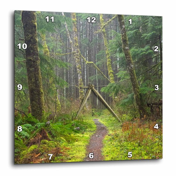 3drose, Washington State, Cascades. Mt. Baker Snoqualmie National Forest., 10x10 Wall Clock