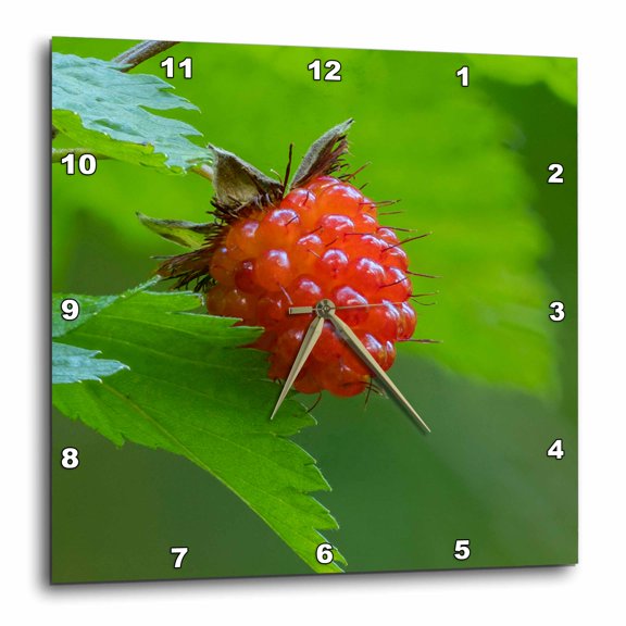 3drose, Washington State, Central Cascades. Edible Red Salmonberry Fruit., 15x15 Wall Clock