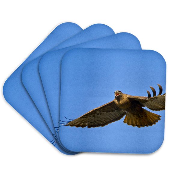 3drose, Washington State, Red-tailed Hawk, Bird - Us48 Glu0042 - Gary Luhm, Set of 4 Coasters - Cork