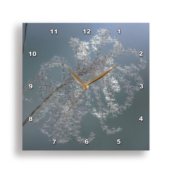 3drose, Washington State, Seabeck. Western Red Cedar Bough Closeup., 13x13 Wall Clock