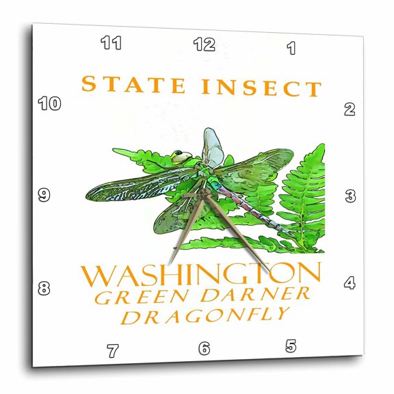3drose, Washington Territory Insect the Green Darner Dragonfly, 15x15 Wall Clock