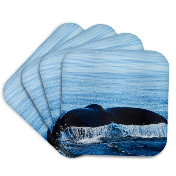 3drose, Water Flows Off a Humpback Whales Tail as It Dives, B.c., Canada, Set of 4 Coasters - Soft