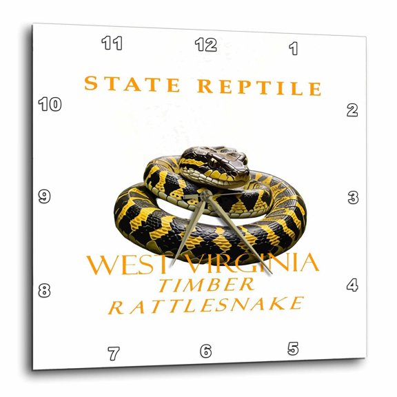 3drose, West Virginia Territory Reptile the Timber Rattlesnake, 10x10 Wall Clock