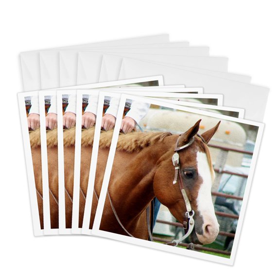 3drose, Western Horse Show, 6 Greeting Cards with Envelopes