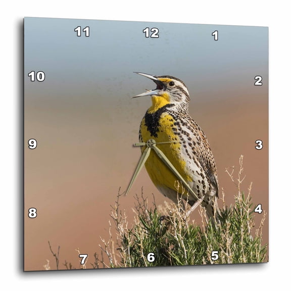 3drose, Western Meadowlark Singing, 15x15 Wall Clock