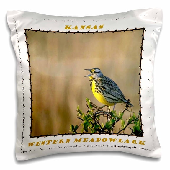 3drose, Western Meadowlark State Bird of Kansas, 16x16 inch Pillow Case